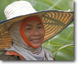 6-10-EmergingThailand.jpg