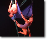 31145-Aerial-Dance.jpg