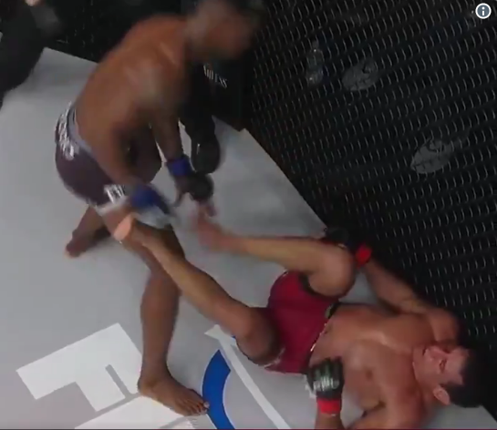 Screen Shot 2018-06-26 at 9.55.03 AM.png