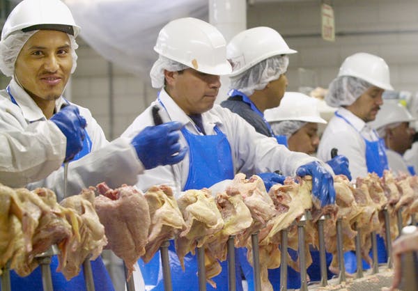 poultryworkers.jpg