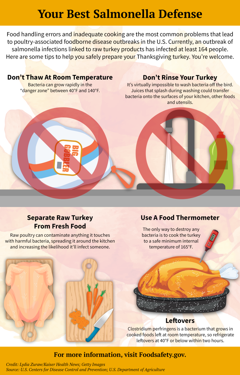 safeturkeytips3.png