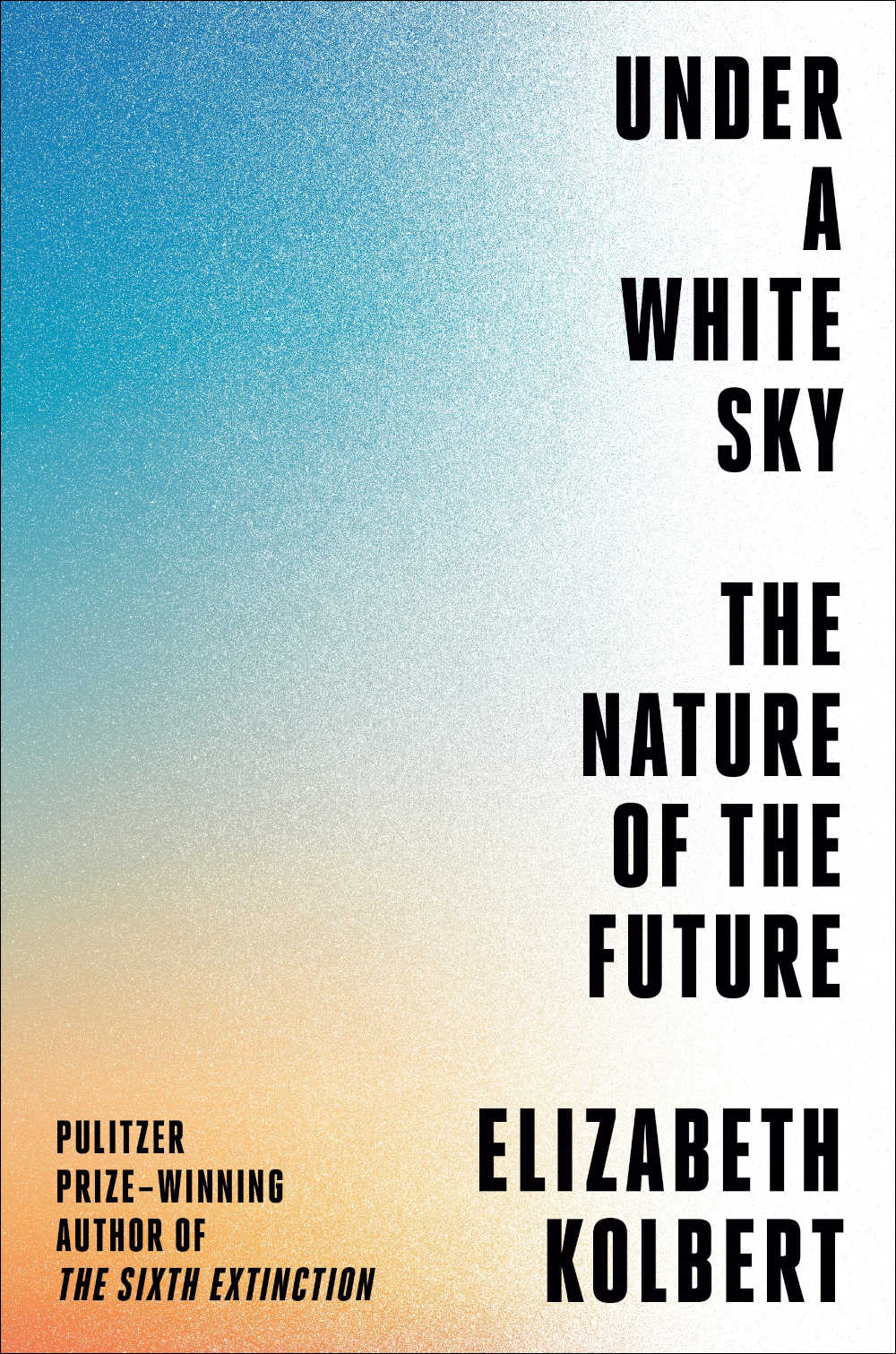 under-white-sky-book-cover-resize.jpg